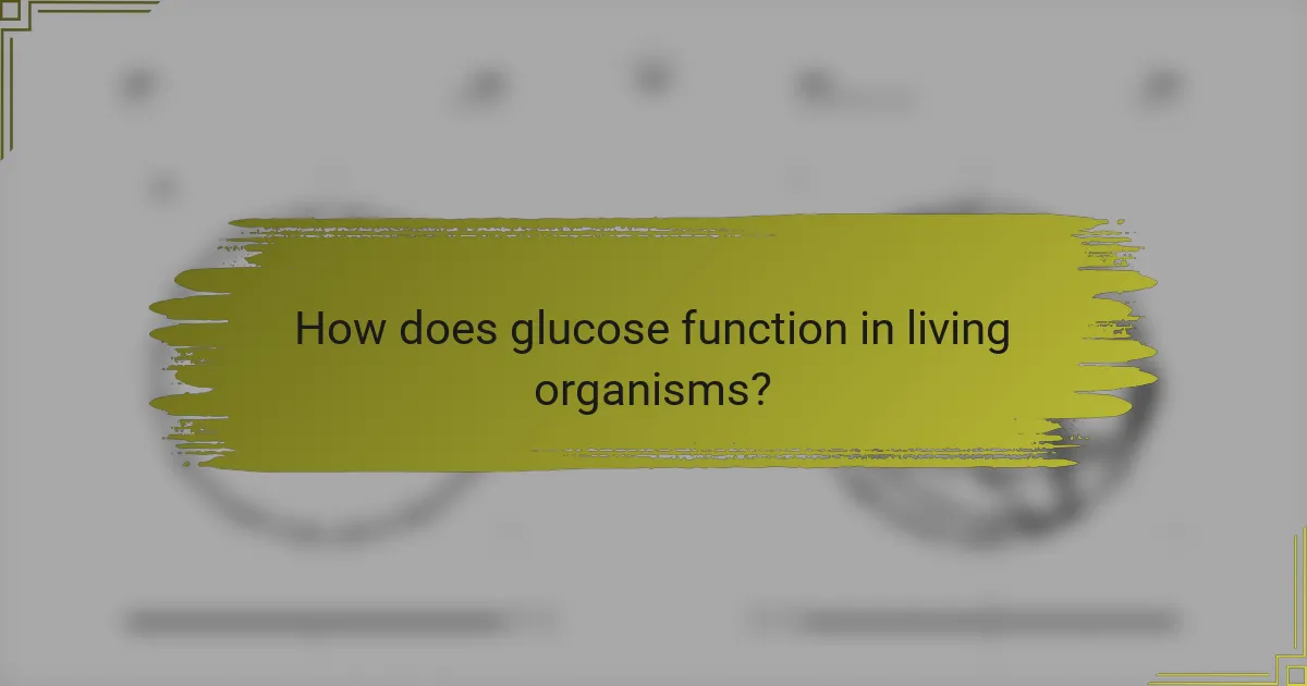 How does glucose function in living organisms?