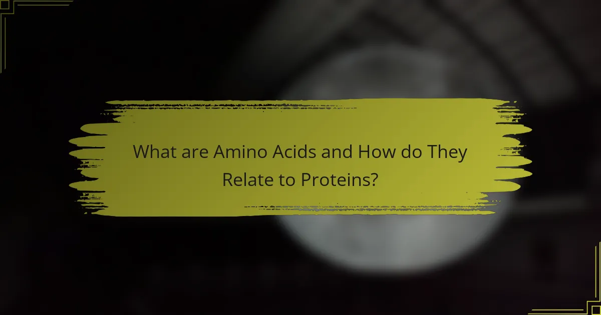 What are Amino Acids and How do They Relate to Proteins?