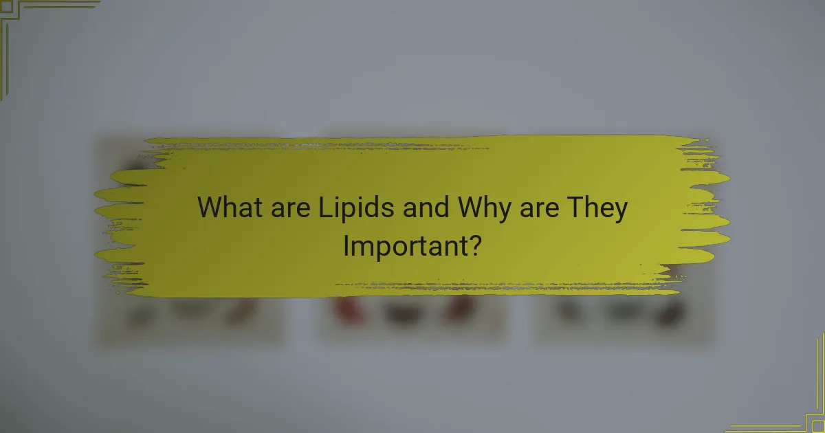 What are Lipids and Why are They Important?
