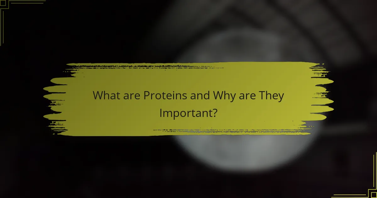 What are Proteins and Why are They Important?
