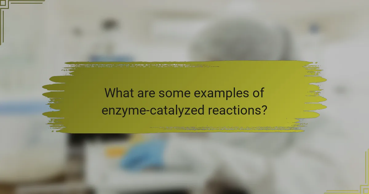 What are some examples of enzyme-catalyzed reactions?