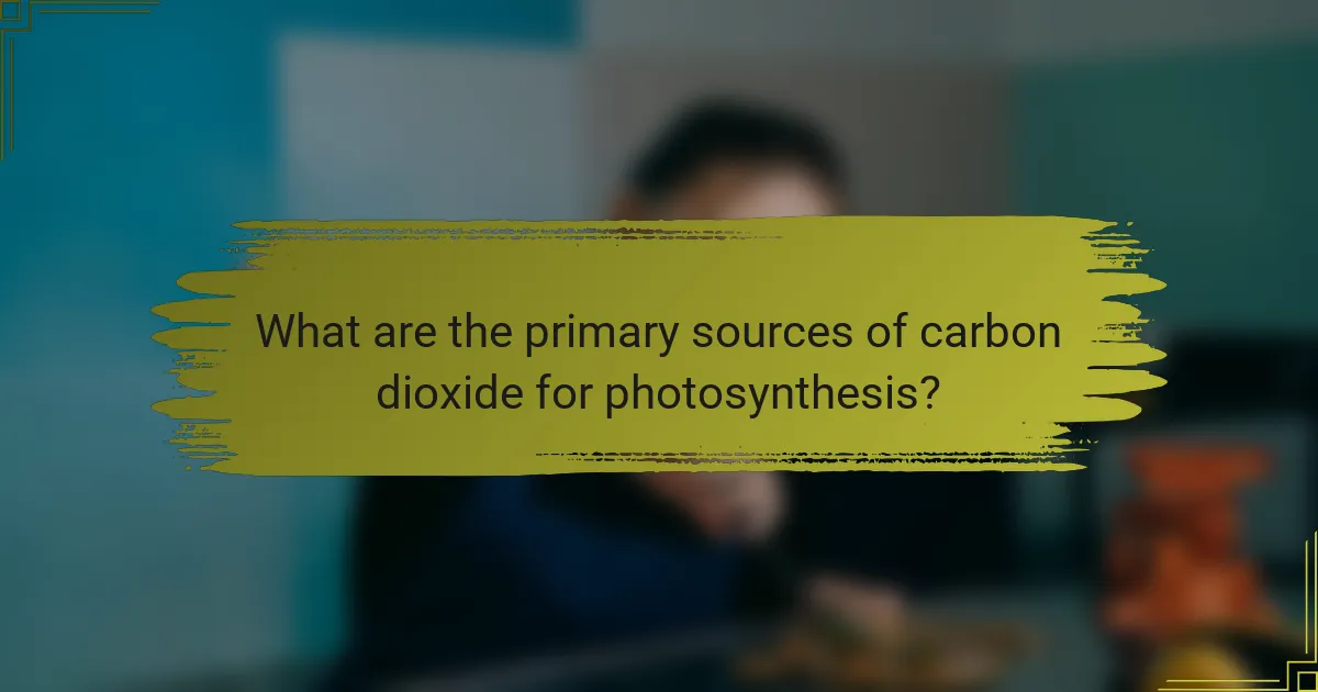 What are the primary sources of carbon dioxide for photosynthesis?