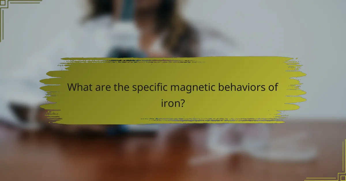 What are the specific magnetic behaviors of iron?