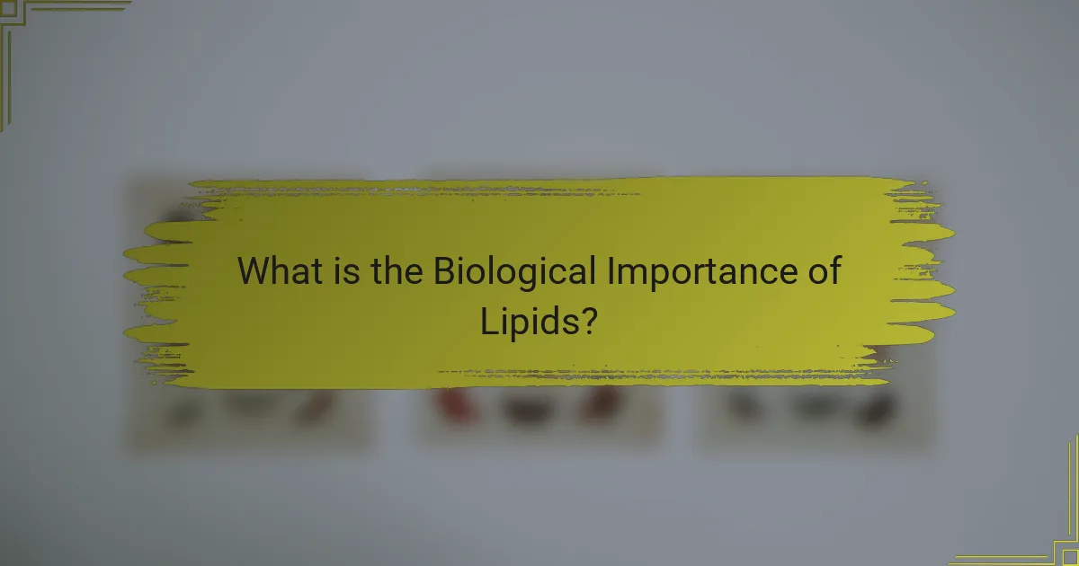 What is the Biological Importance of Lipids?