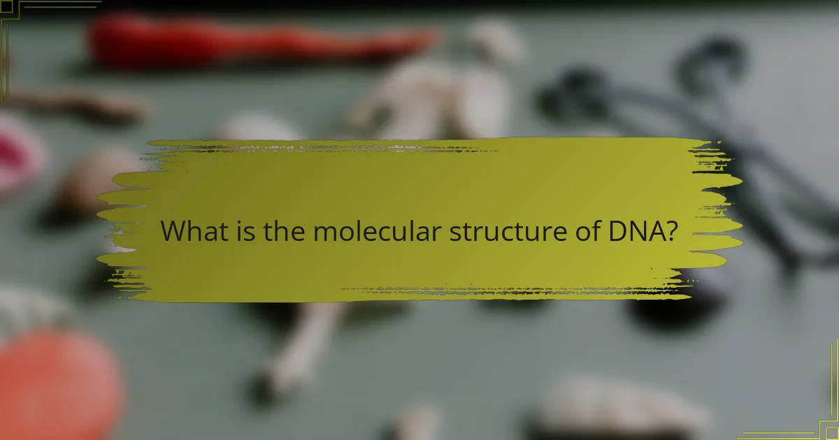 What is the molecular structure of DNA?