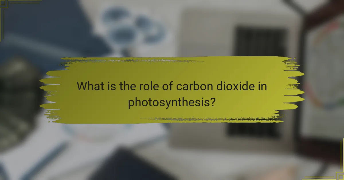 What is the role of carbon dioxide in photosynthesis?
