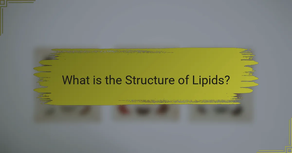 What is the Structure of Lipids?