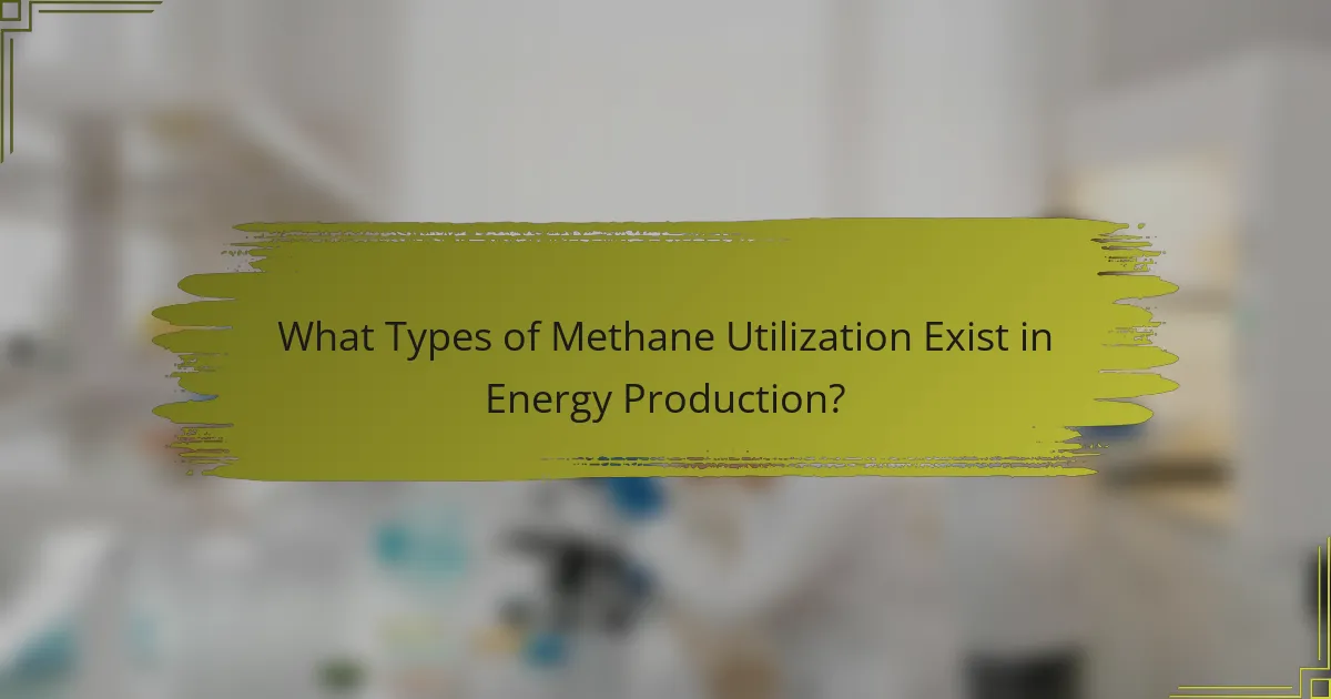 What Types of Methane Utilization Exist in Energy Production?